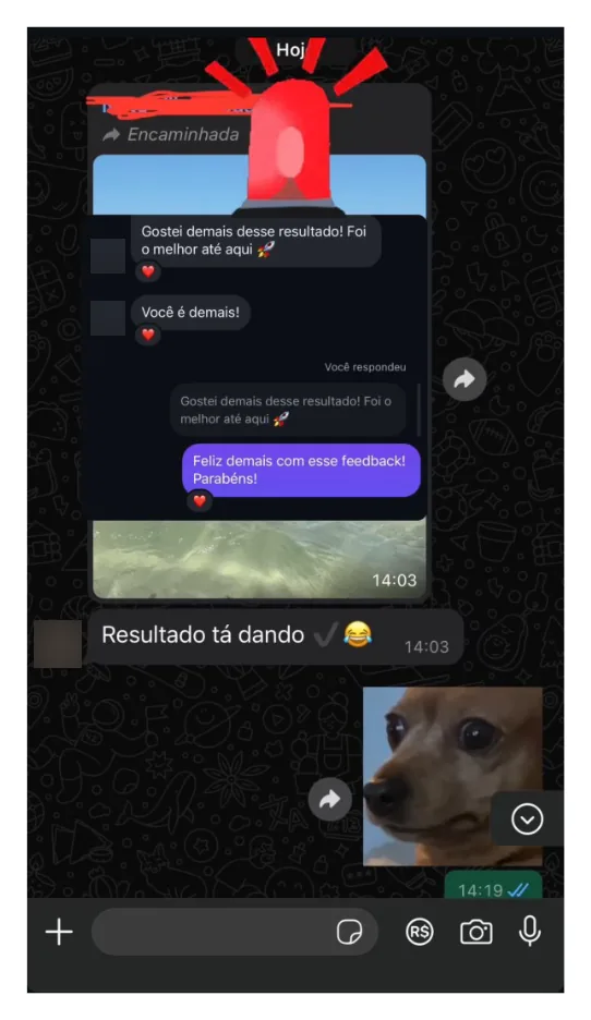 Mensagem recebida no WhatsApp